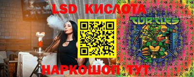 дживик Тара
