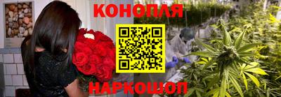 дживик Тара