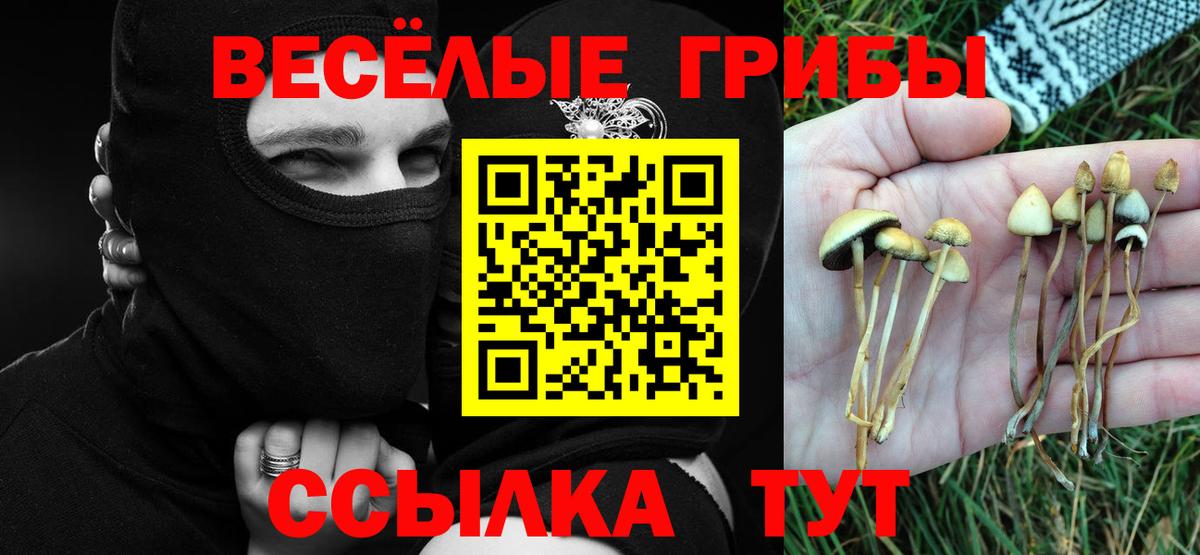 Псилоцибиновые грибы прущие грибы  Вход с VPN  Псилоцибиновые грибы Magic Shrooms  Мурино 